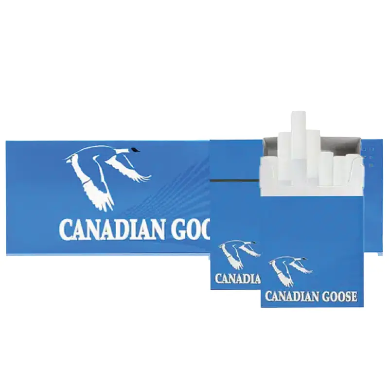 CANADIAN GOOSE LIGHTS at Fort York Cannabis