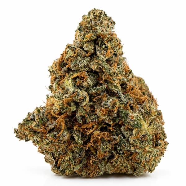 PINK GOO at Fort York Cannabis