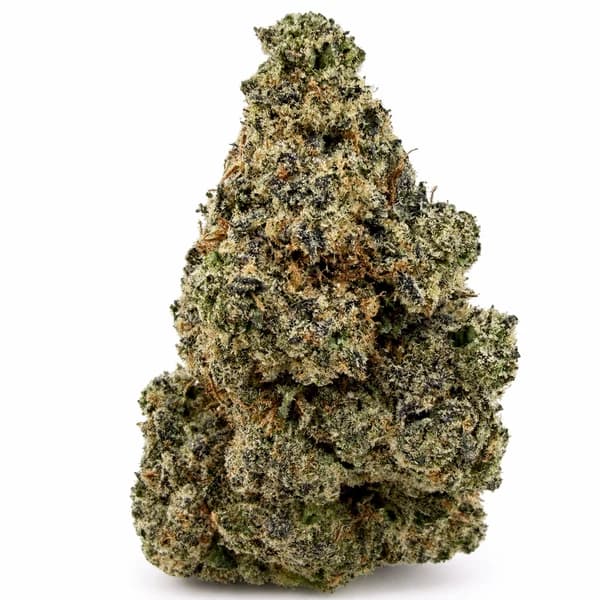 DONKEY BUTTER at Fort York Cannabis