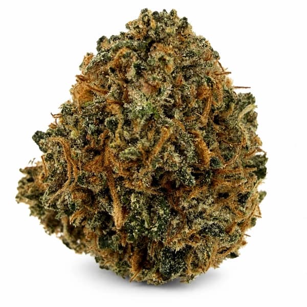 PINK MANGOO at Fort York Cannabis