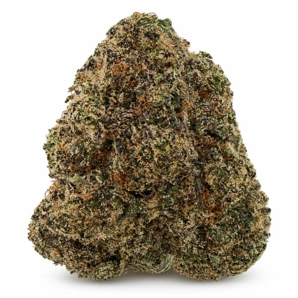 NEW BLACK MAMBA (AAAA+) at Fort York Cannabis