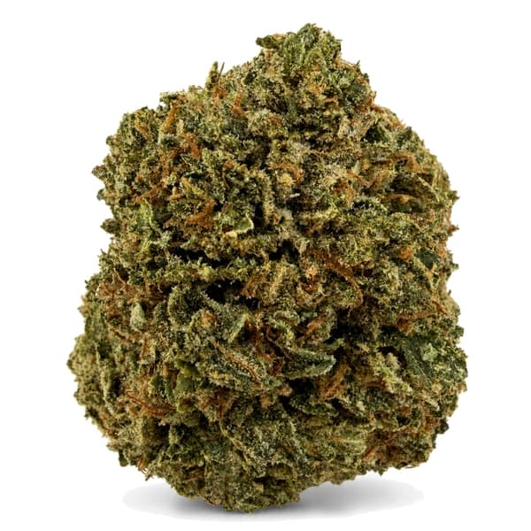 MASTER KUSH (AAA+) at Fort York Cannabis