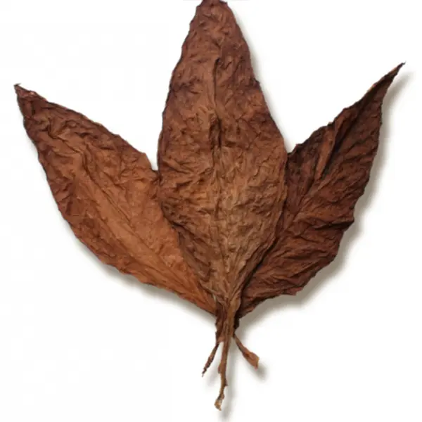 GRABBA at Fort York Cannabis