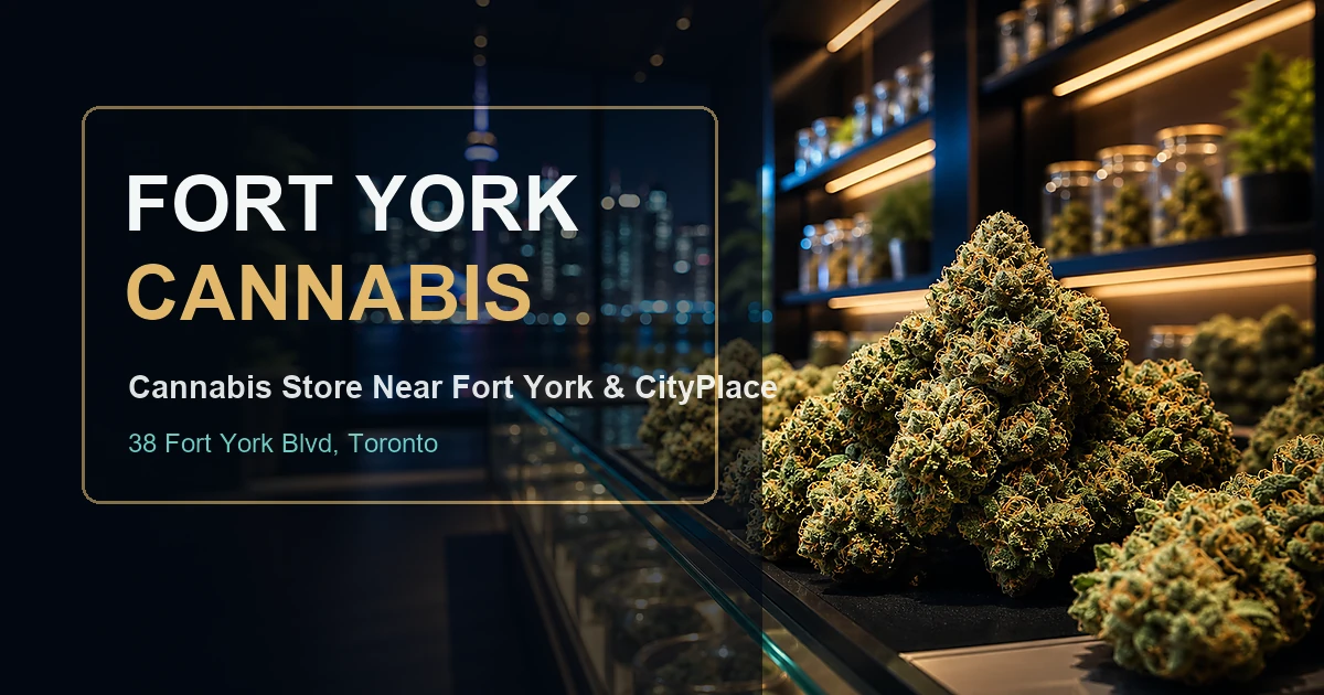STLTH Type-C device at Fort York Cannabis