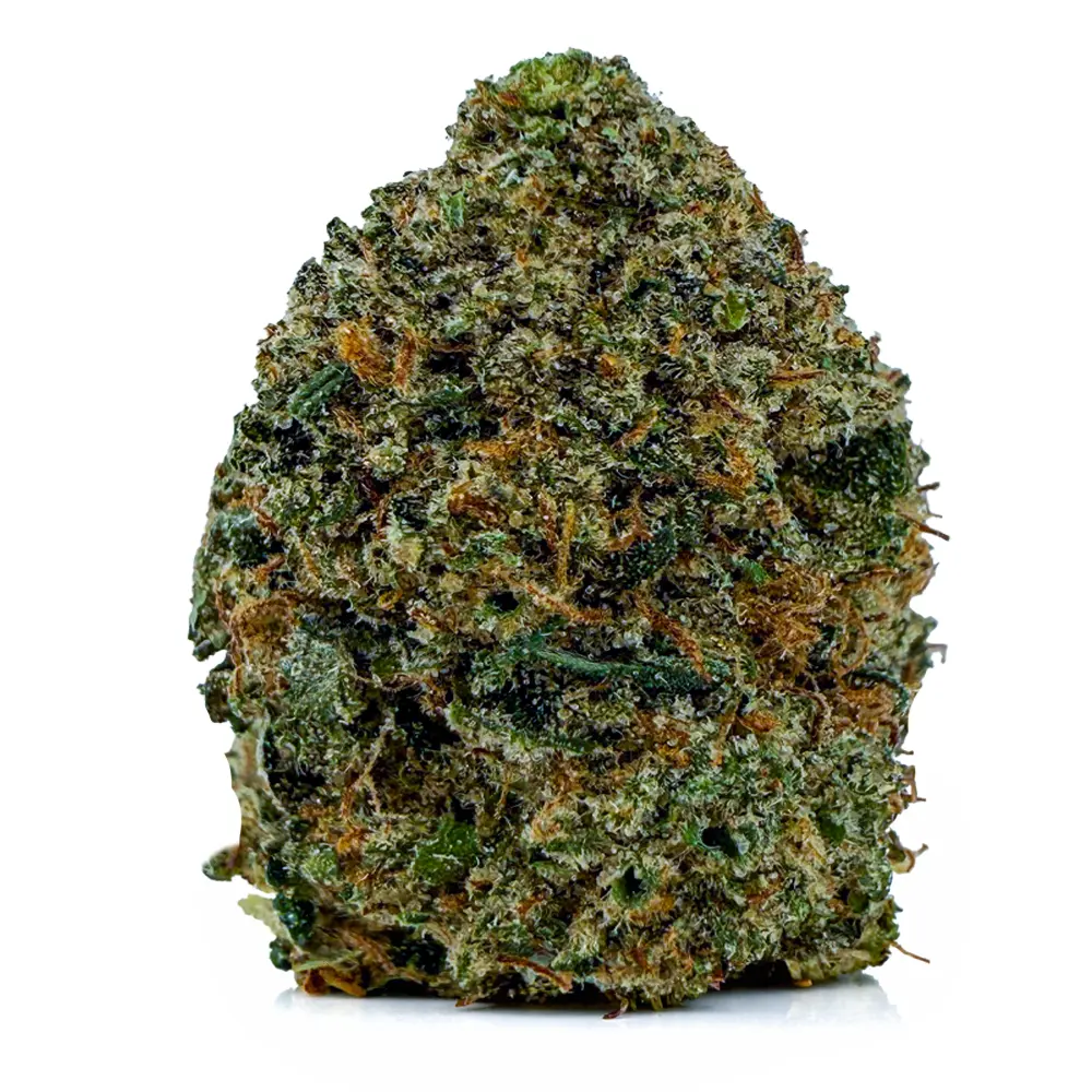 PINK HALO OG at Fort York Cannabis