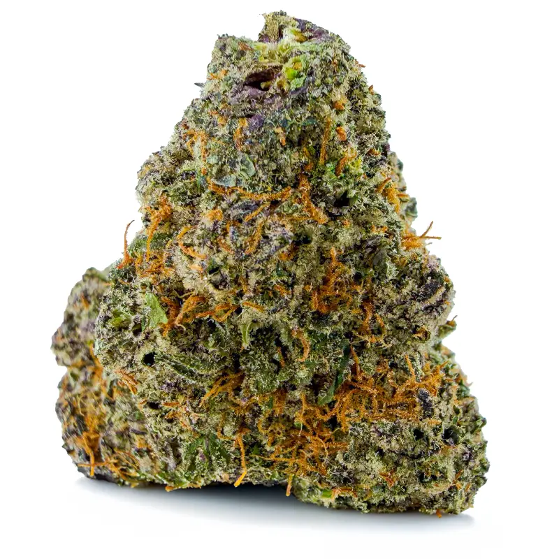 OMFG Sativa at Fort York Cannabis