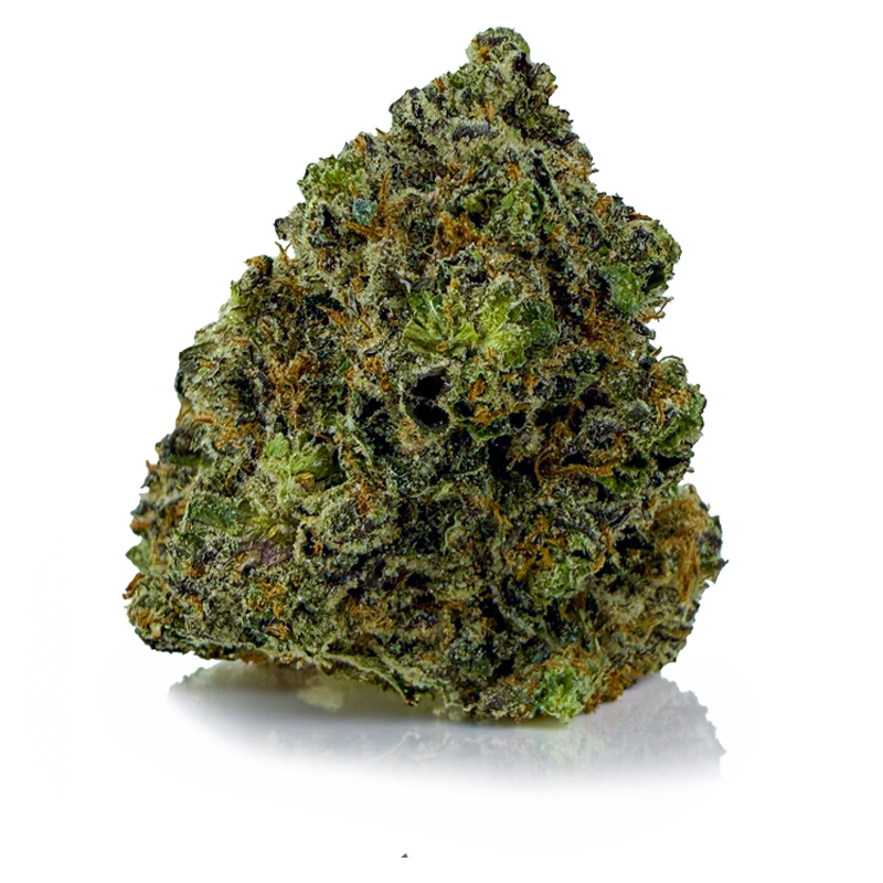 GMO COOKIES at Fort York Cannabis