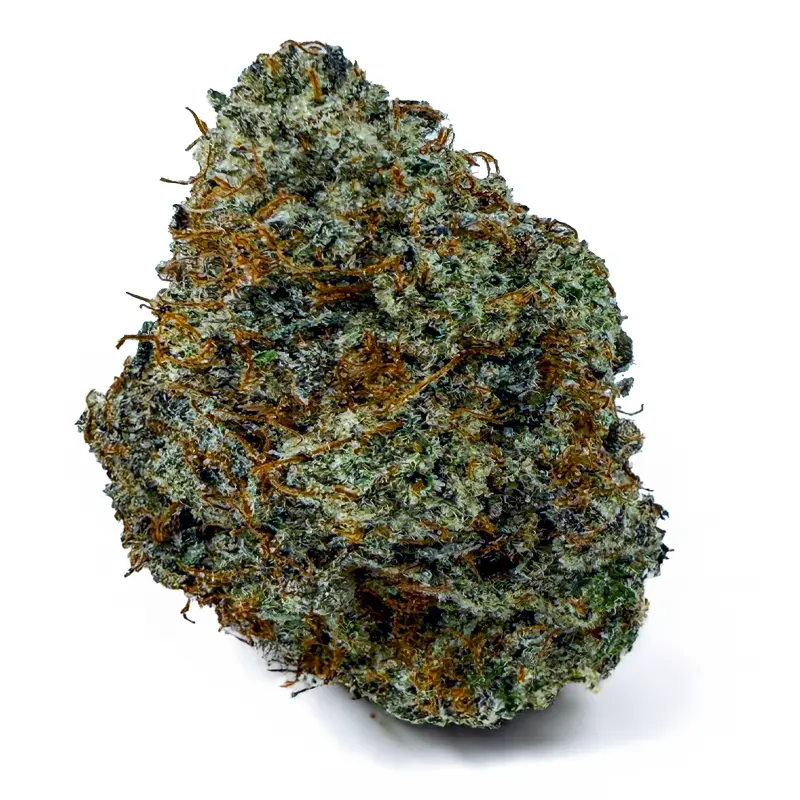 PINK HELLFIRE at Fort York Cannabis