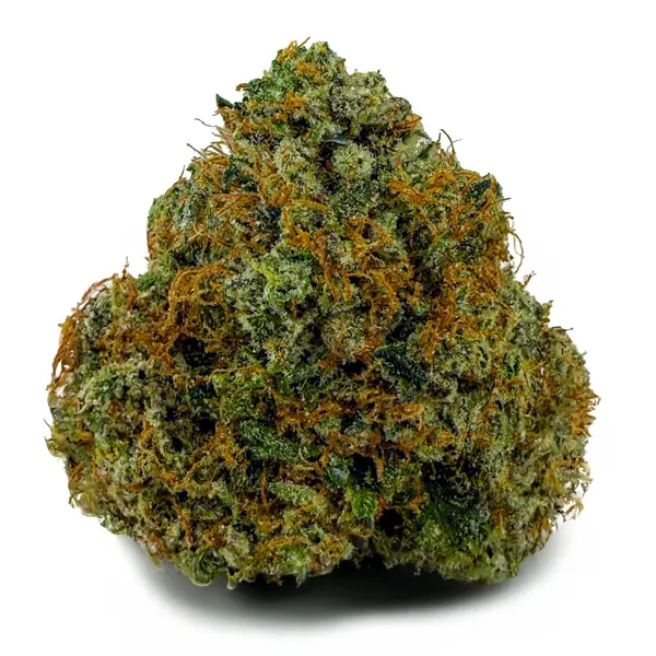 PINK BELLAGIO at Fort York Cannabis