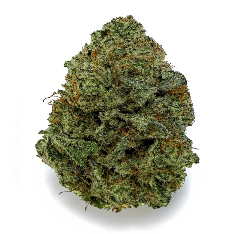 DONNIE BURGER at Fort York Cannabis