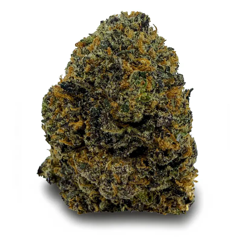 MENDO BREATHE at Fort York Cannabis