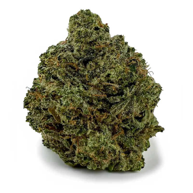 PINK TOMFORD at Fort York Cannabis