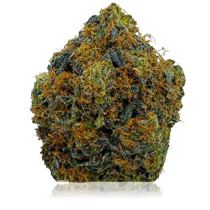 PINK SUPREME at Fort York Cannabis