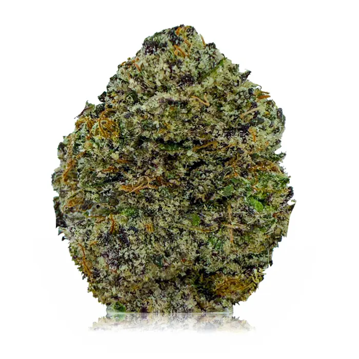 PINK ICKY STICKY at Fort York Cannabis