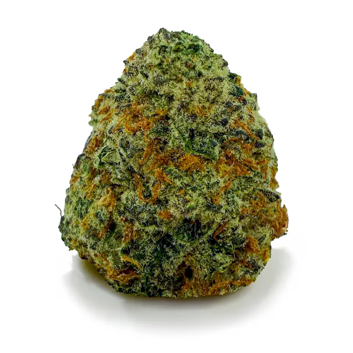 WHITE WALKER OG at Fort York Cannabis